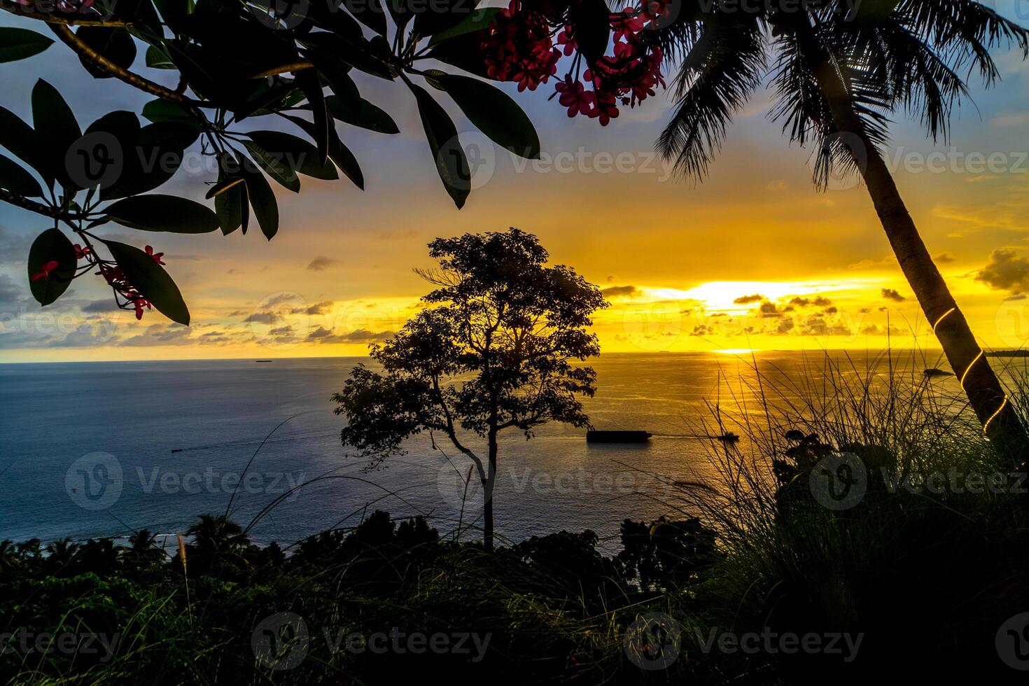 Silhouette of a tree in the beach with colorful sunset over the ocean in the background photo