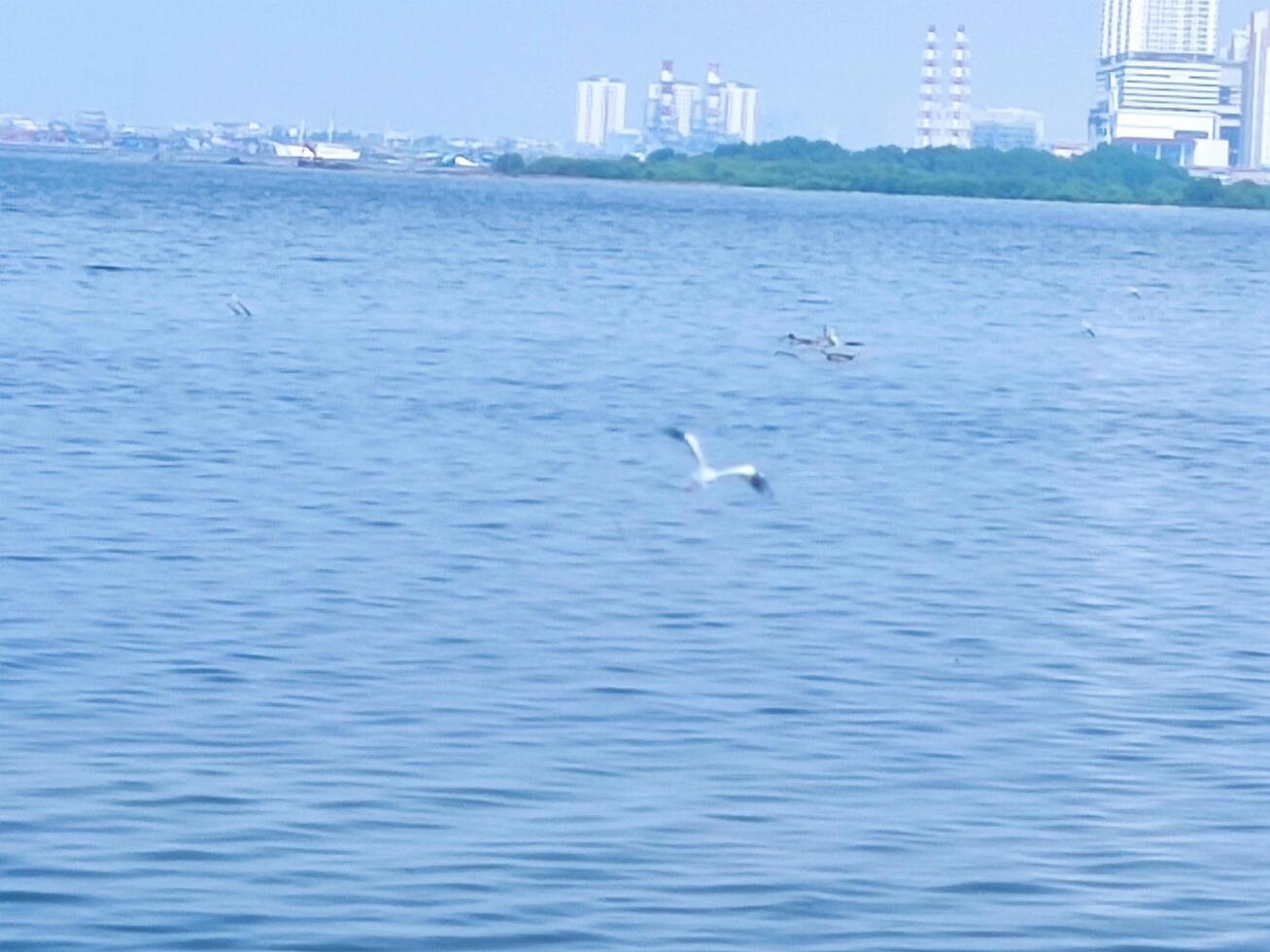 a view of the sea on a clear day, there are tall buildings and fishing boats passing by on the sea. photo