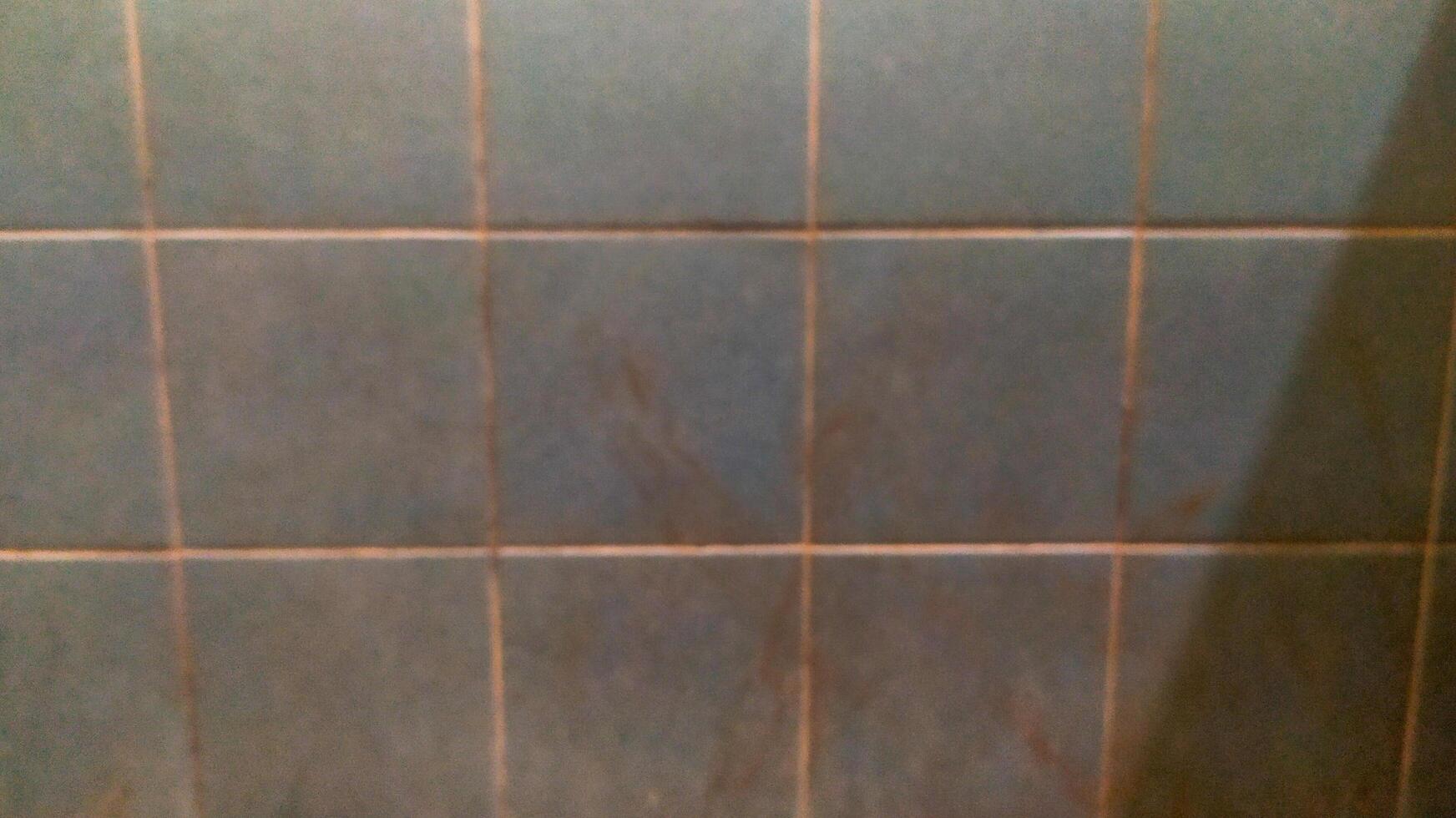 walls with square blue ceramic tiles that decorate the bathroom photo
