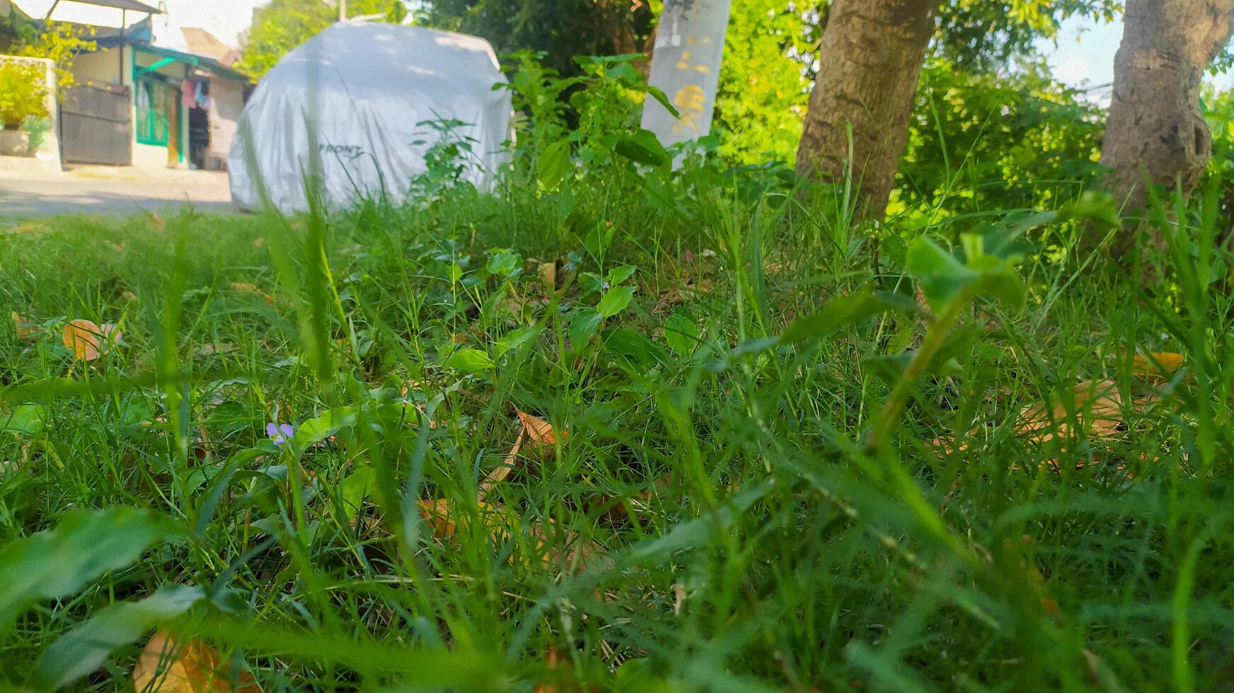 a grassy area with a white van parked in the middle photo