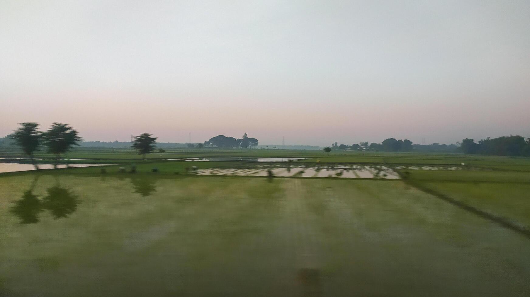 view of rice fields in the middle of the village, photo taken in a vehicle is suitable as a background for a design with a blurry photo theme