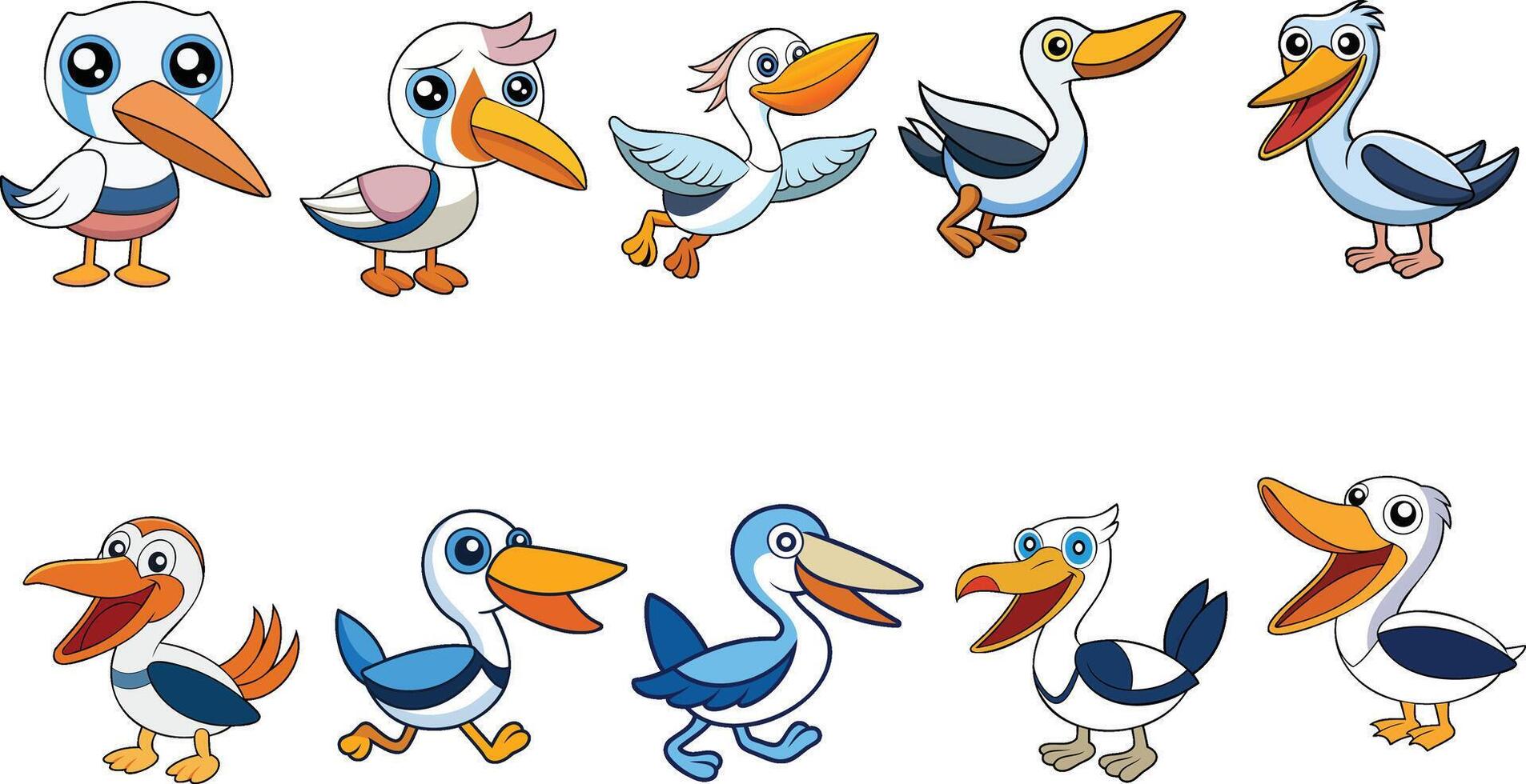 Australian Pelican design ,animal design vector