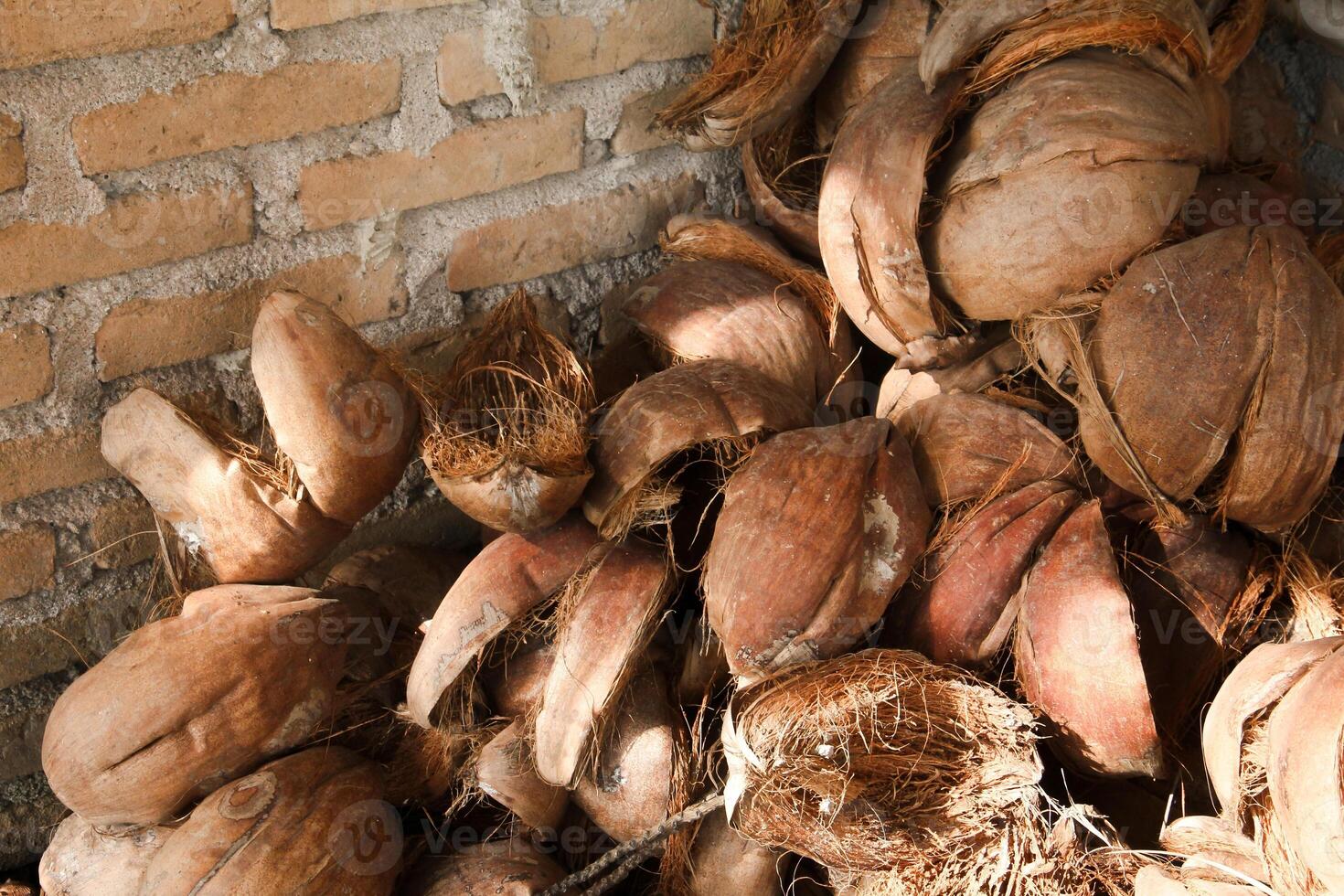 Dried coconut fiber which can be used as raw material for crafts or coco peat for soil fertility photo