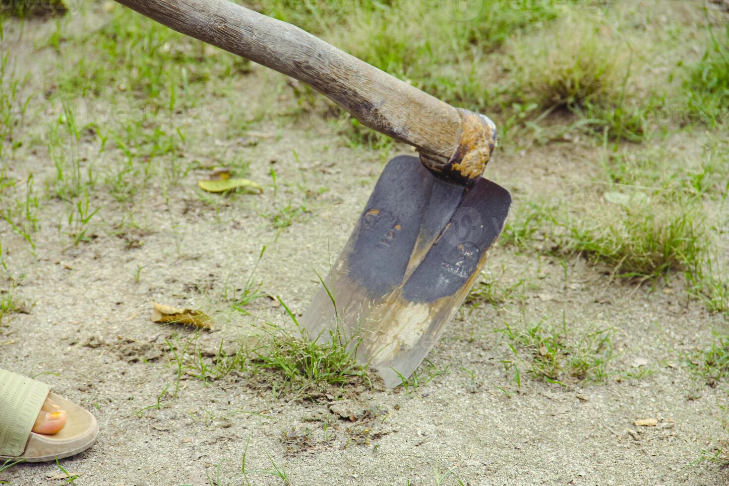 Garden hoe usually used by farmers to loosen agricultural soil photo