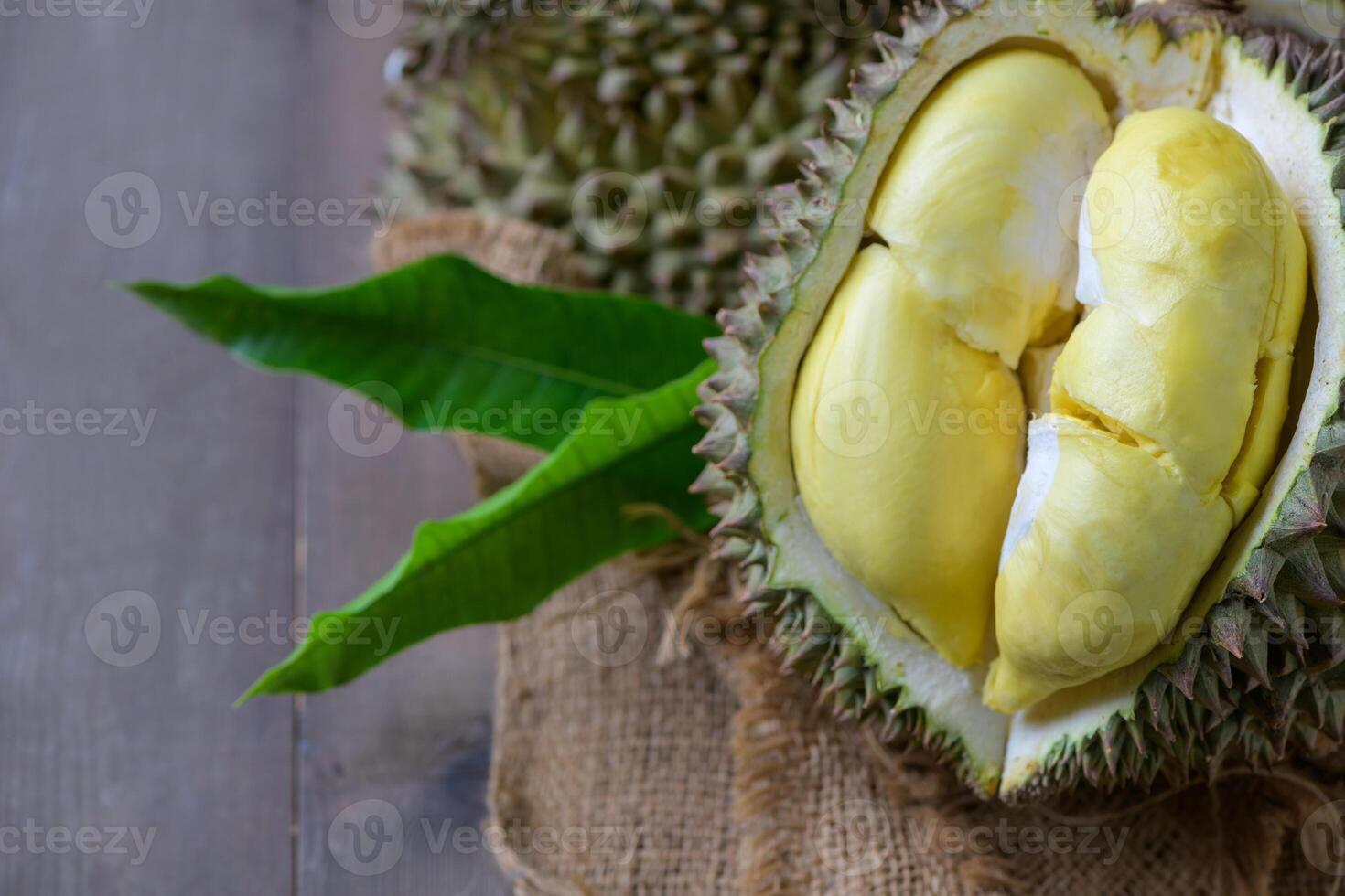 lava Durian Sisaket, it is grown in an ancient volcanic area, photo