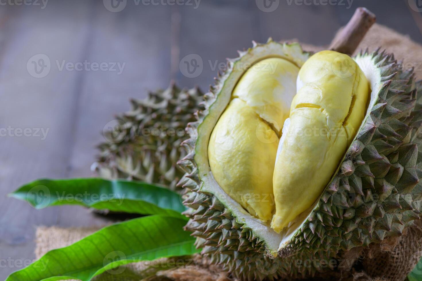 lava Durian Sisaket, it is grown in an ancient volcanic area, king of fruits photo