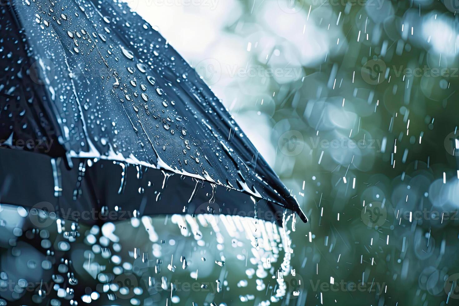 Umbrella Heavy Rain photo