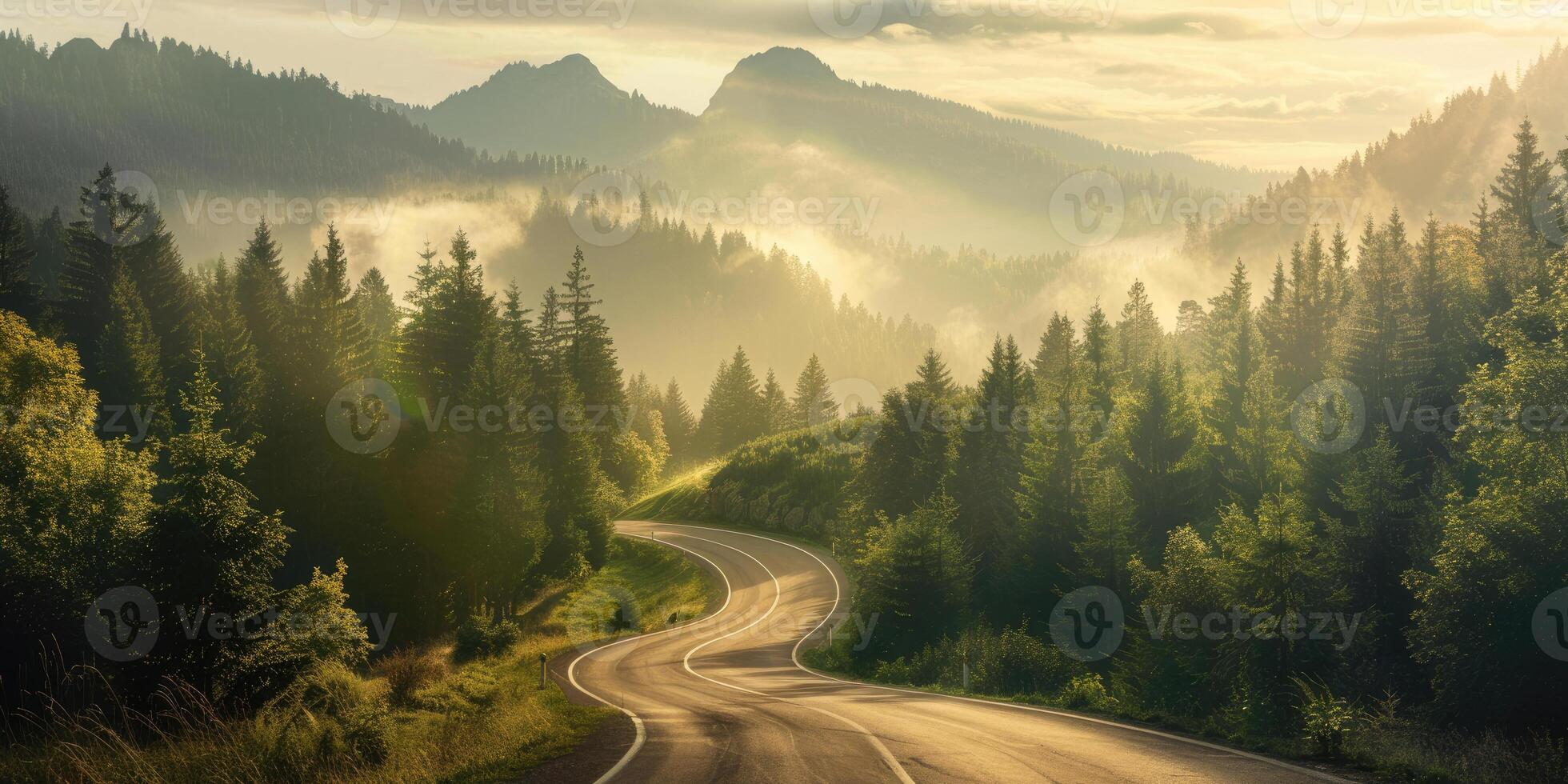 Road in the Forest photo