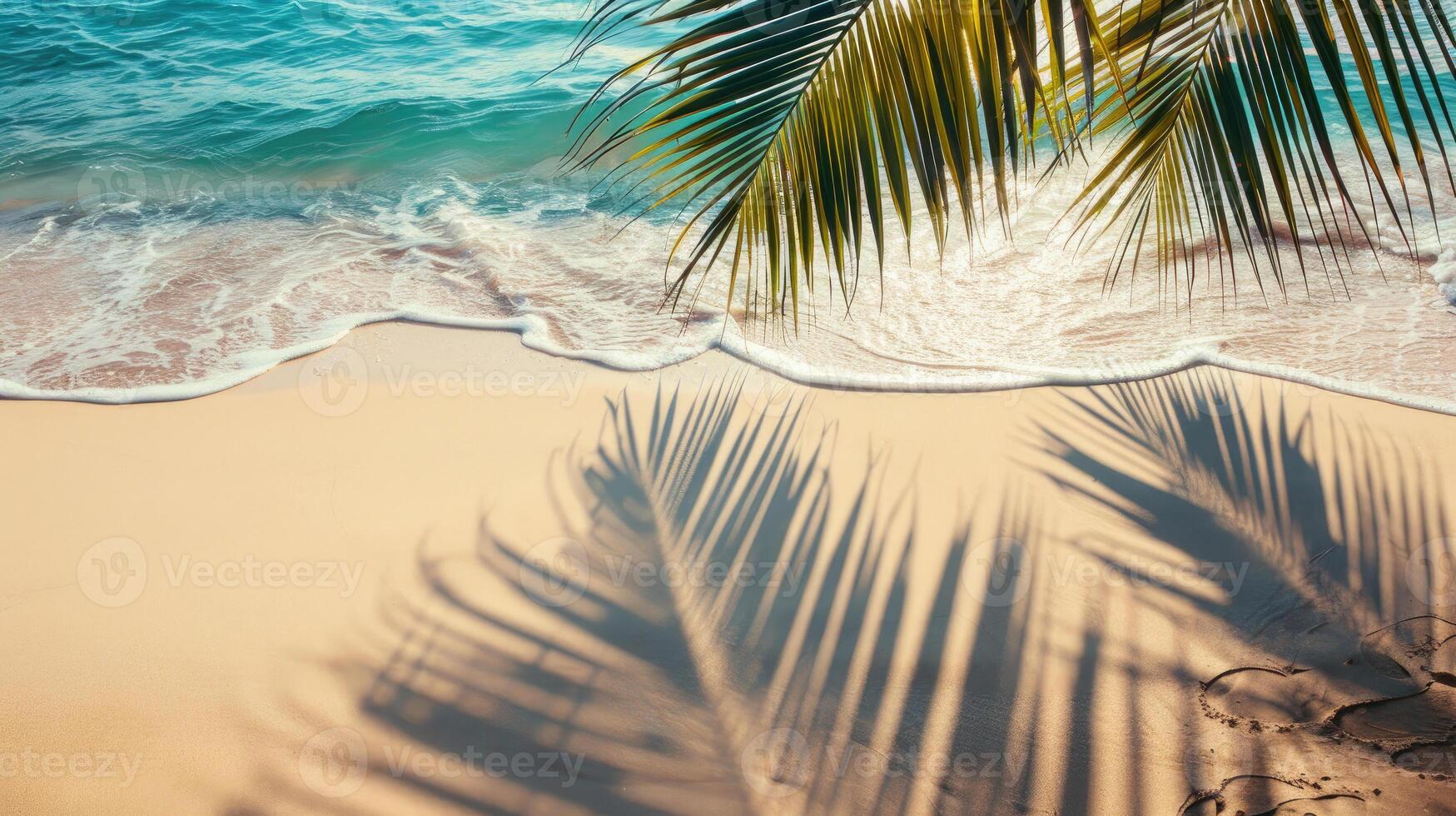 Beach and Paln photo