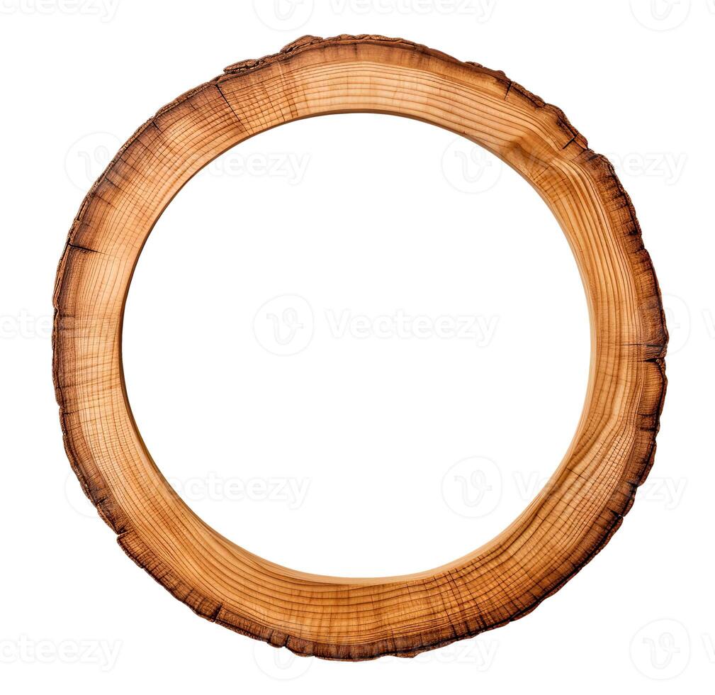 Cross Section of a Tree photo