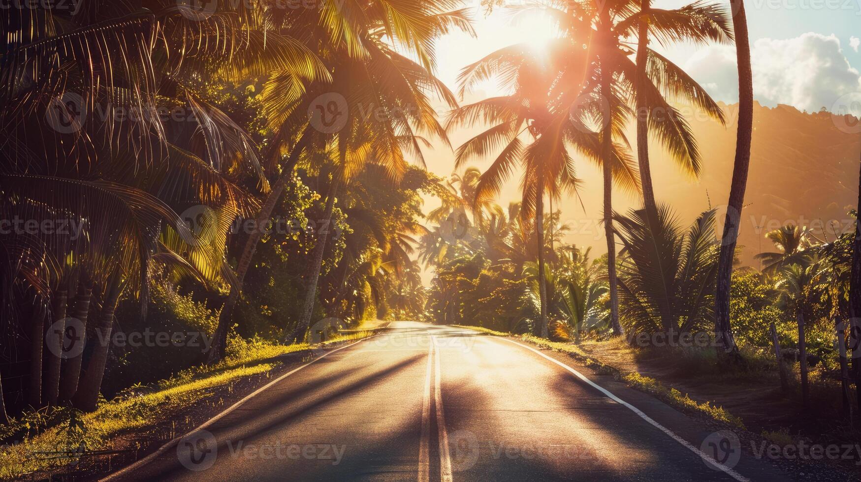 Road with Palm Trees photo