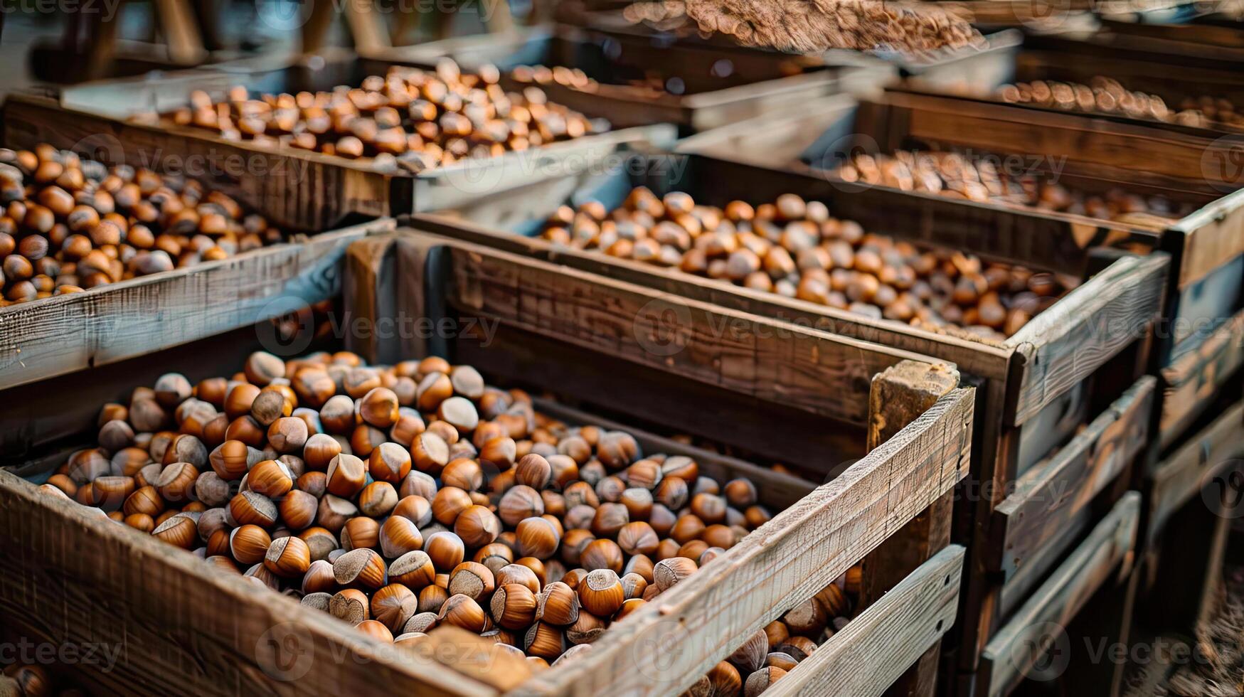 Crate with Hazelnuts photo