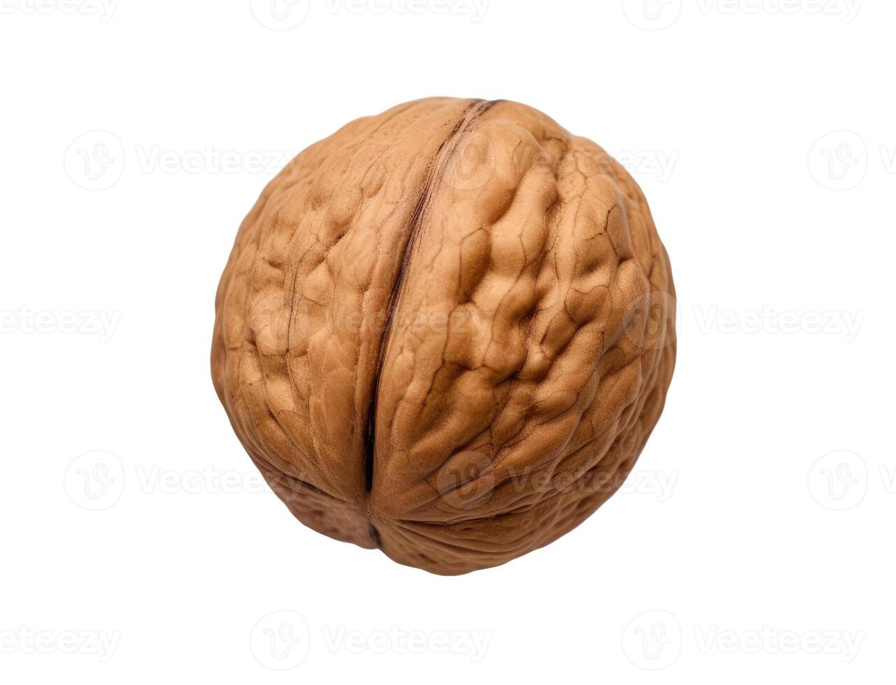 Walnut, Isolated on White photo
