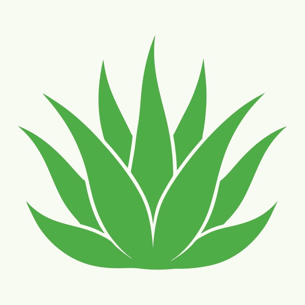 Flat illustration of alovera plant isolated on light green background vector