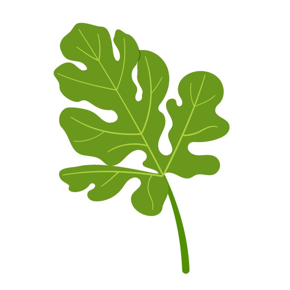 Watermelon green leaf. Hand drawn Trendy flat style isolated botanical illustration clipart. vector