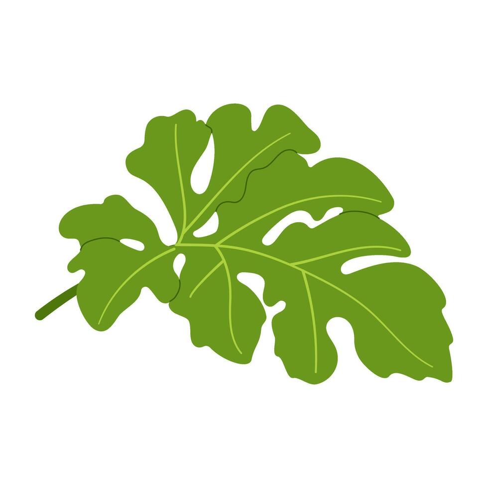 Watermelon green leaf. Hand drawn Trendy flat style isolated botanical illustration clipart. vector