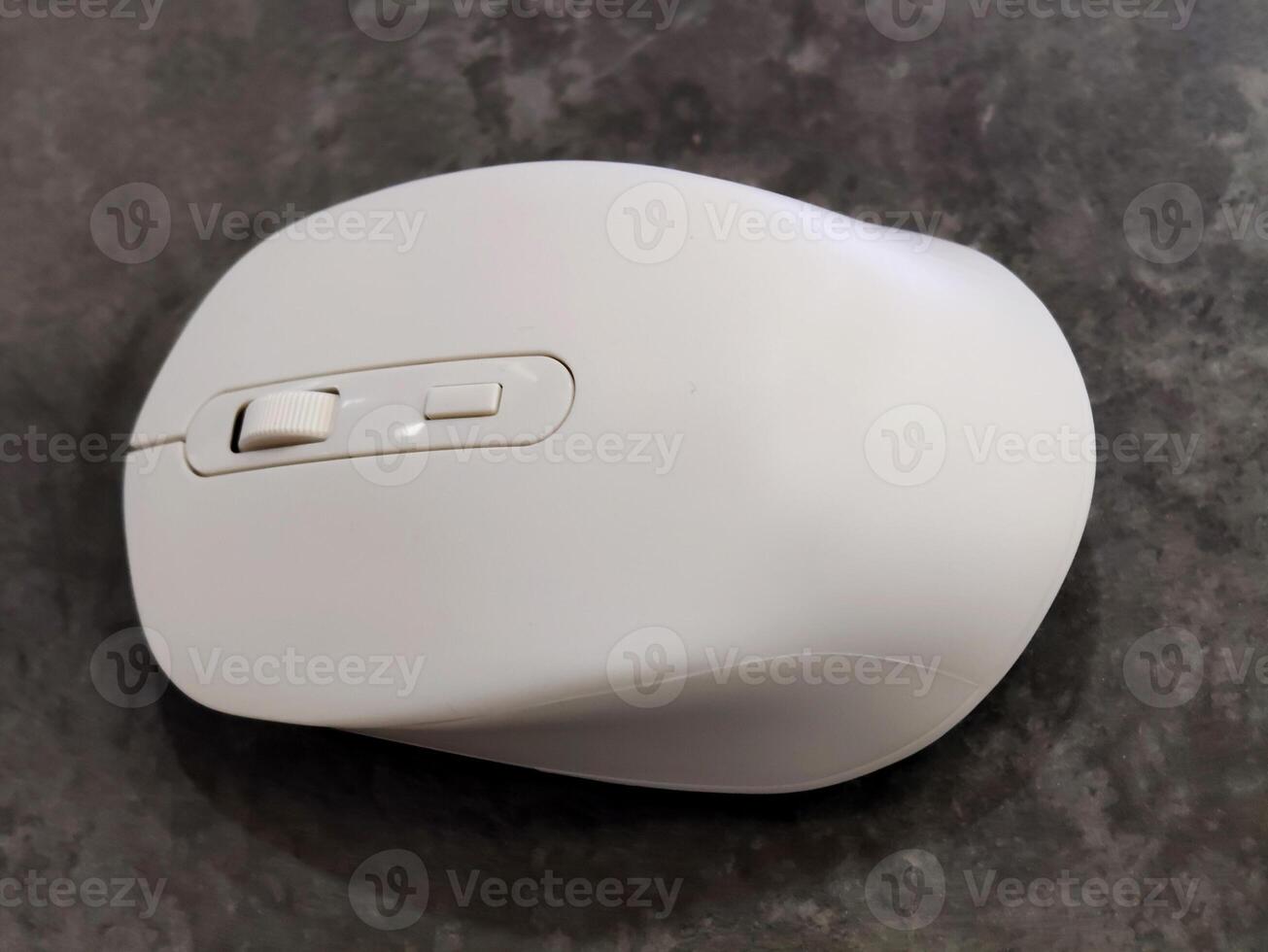 white computer mouse. modern digital device. photo