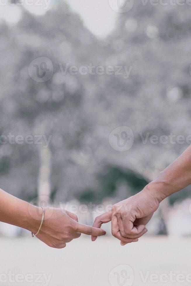 lgbtq couples hold hands to express their love and show couples confidence in their love for each other on their big day and forever Ideas for showing love and care for lgbtq couples by holding hands. photo