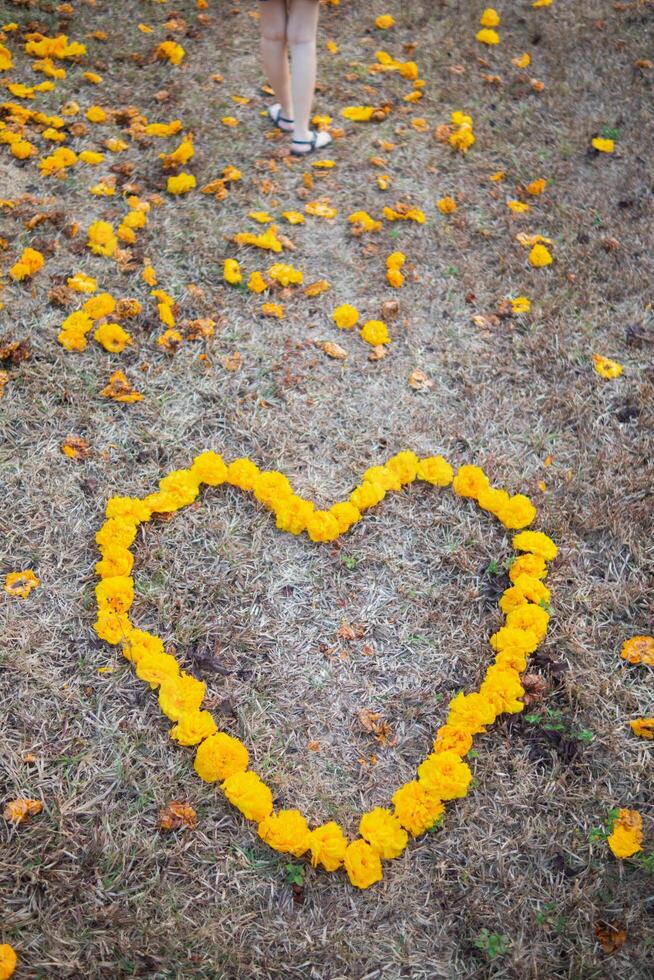 The bright yellow flowers in the background are arranged in a heart shape on the grass and the heart shape means I love you and is also a symbol of love and friendship for one another. Copy Space photo