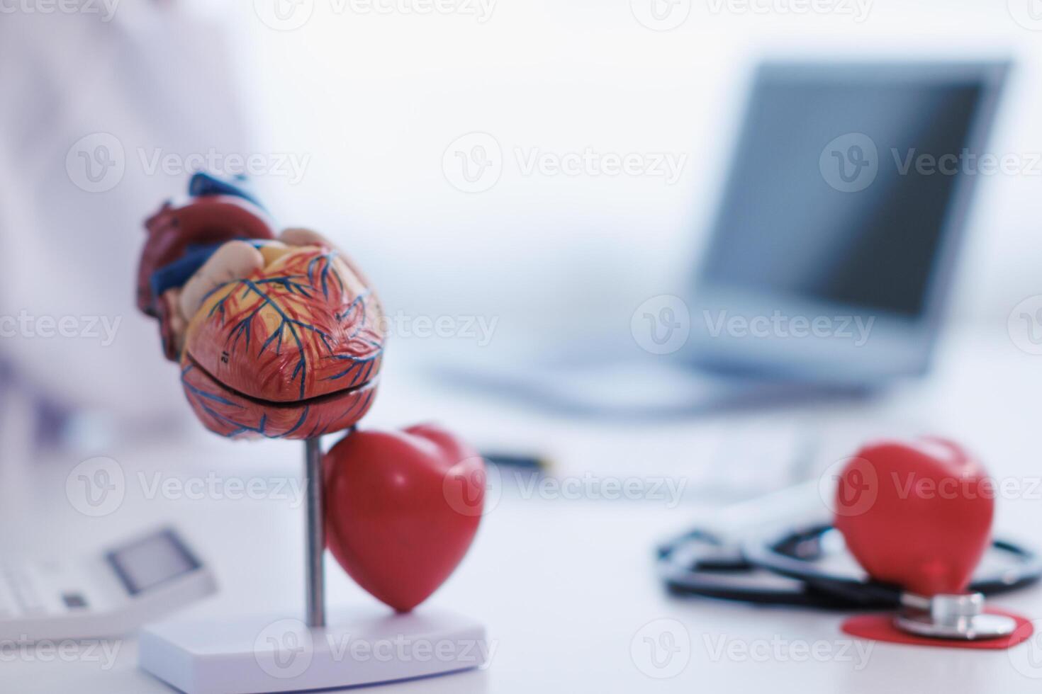 realistic looking heart model on the table of doctor is symbol of campaign to care for health of heart disease patients and encourage people at risk of heart disease to come in for regular check ups. photo