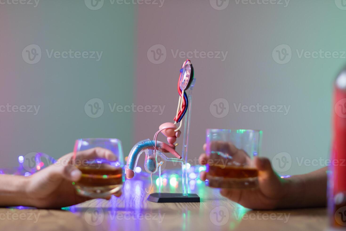 The penis model shows the urinary tract and prostate that are often a problem for men with chronic alcohol addiction and sexual dysfunction, including urinary tract disease and prostate cancer. photo