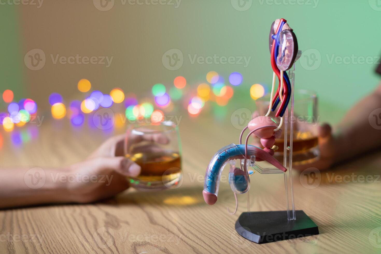 The penis model shows the urinary tract and prostate that are often a problem for men with chronic alcohol addiction and sexual dysfunction, including urinary tract disease and prostate cancer. photo