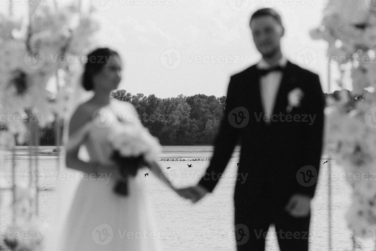wedding ceremony of the newlyweds on the pier photo