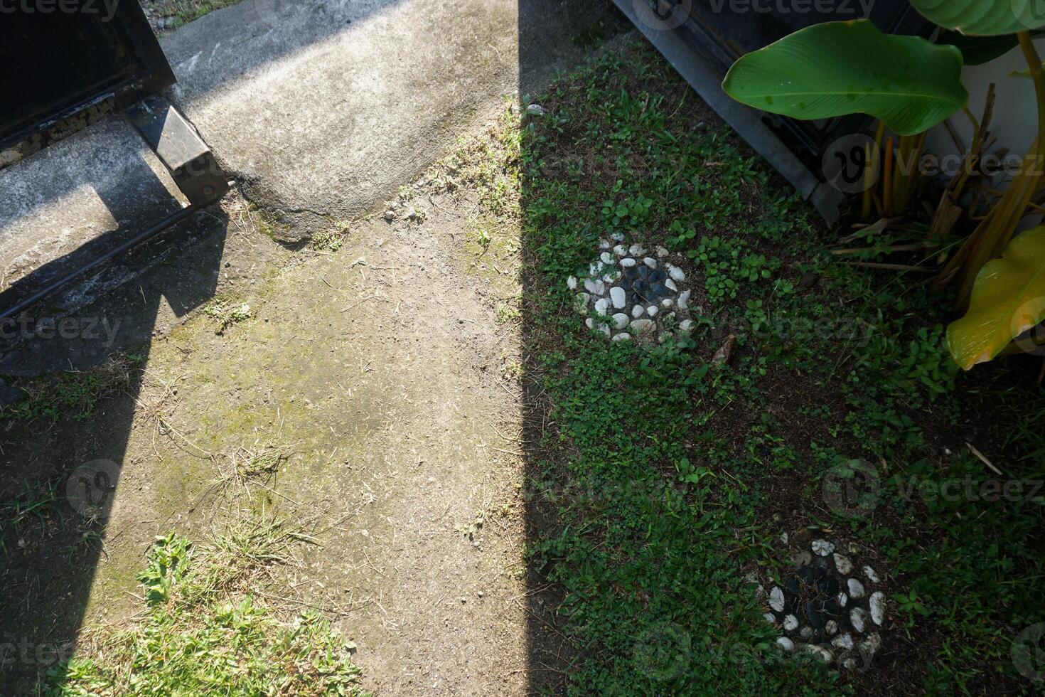 Shadow Lines on Grass and Soil photo