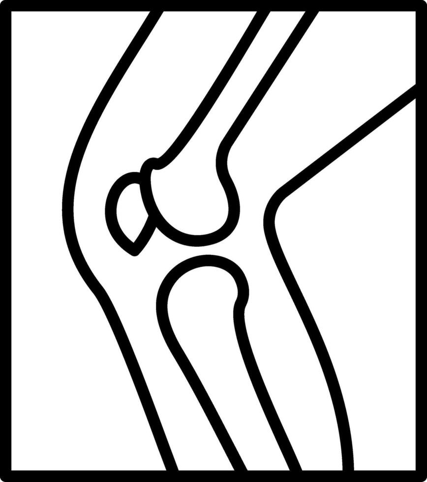 Leg X Ray Line Icon vector