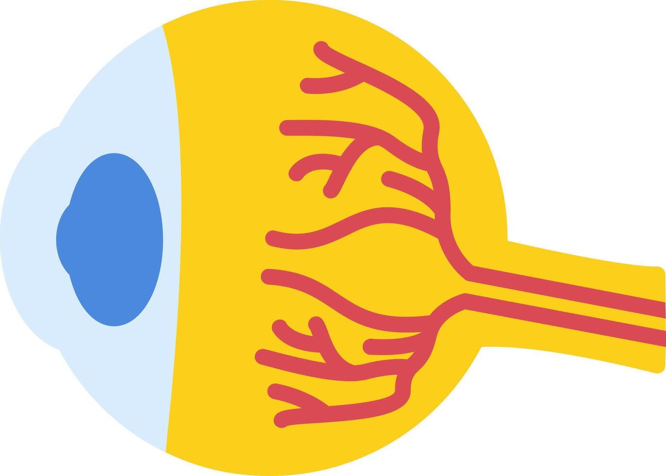 Eye Ball Flat Icon vector