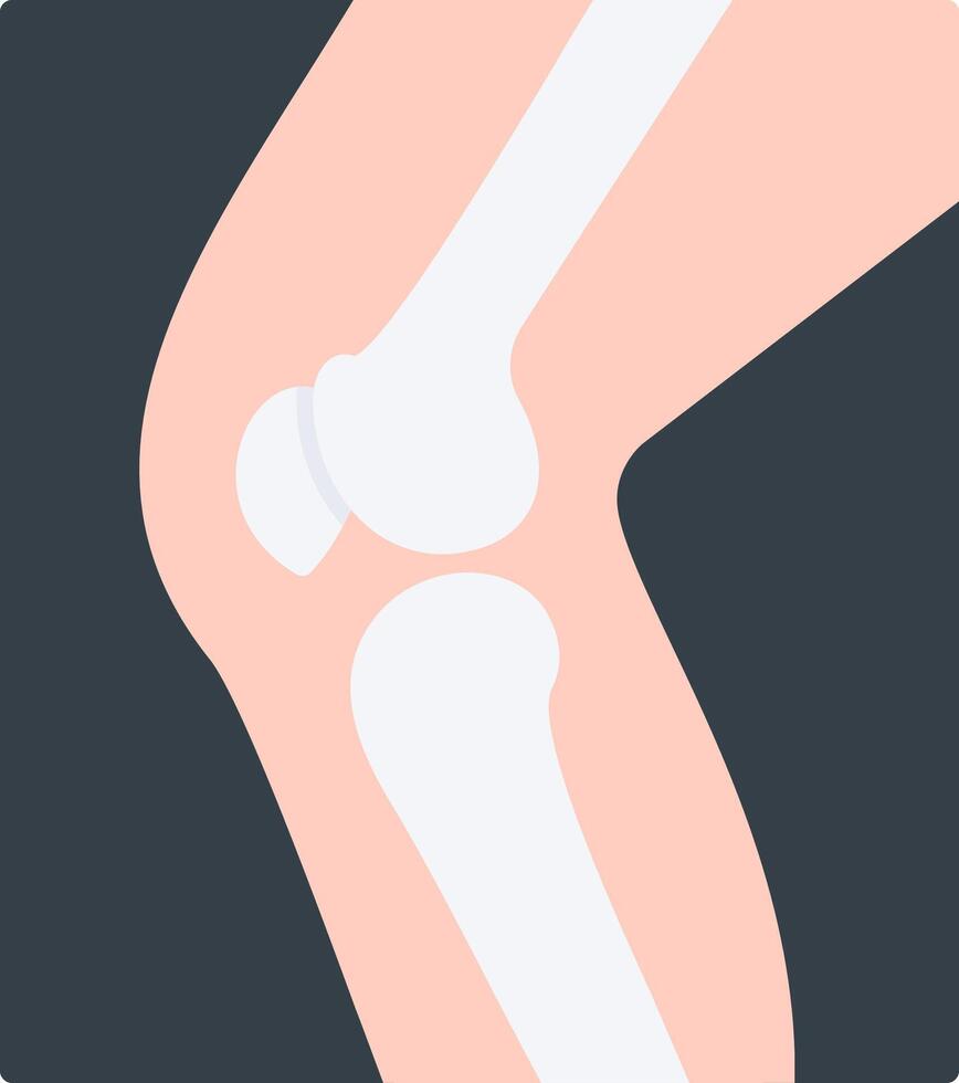 Leg X Ray Flat Icon vector