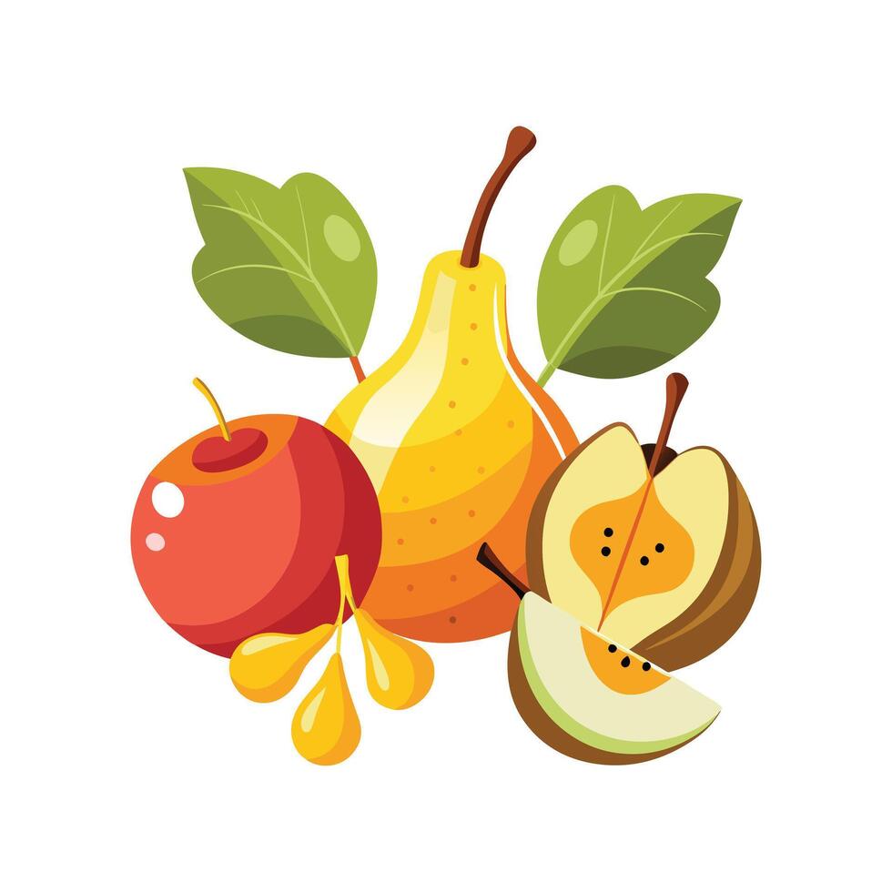 Realistic Fruits Illustration Concepts vector