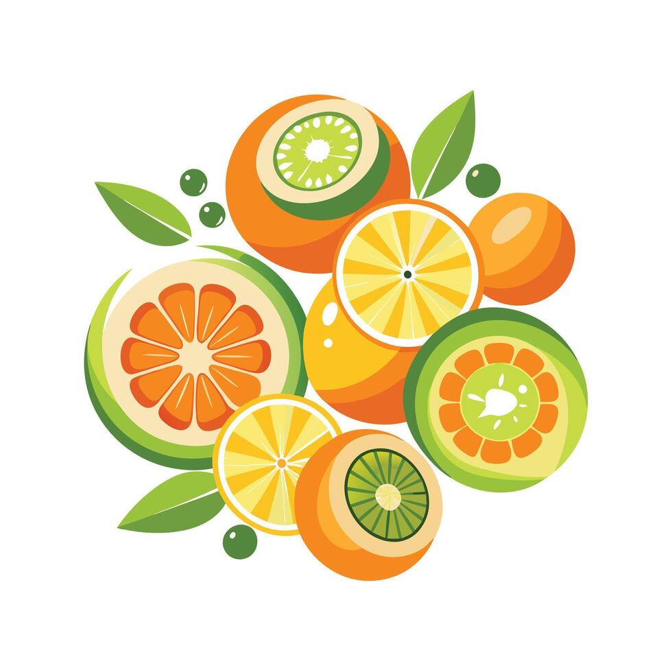 Realistic Fruits Illustration Concepts vector