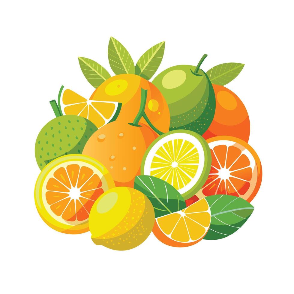 Realistic Fruits Illustration Concepts vector
