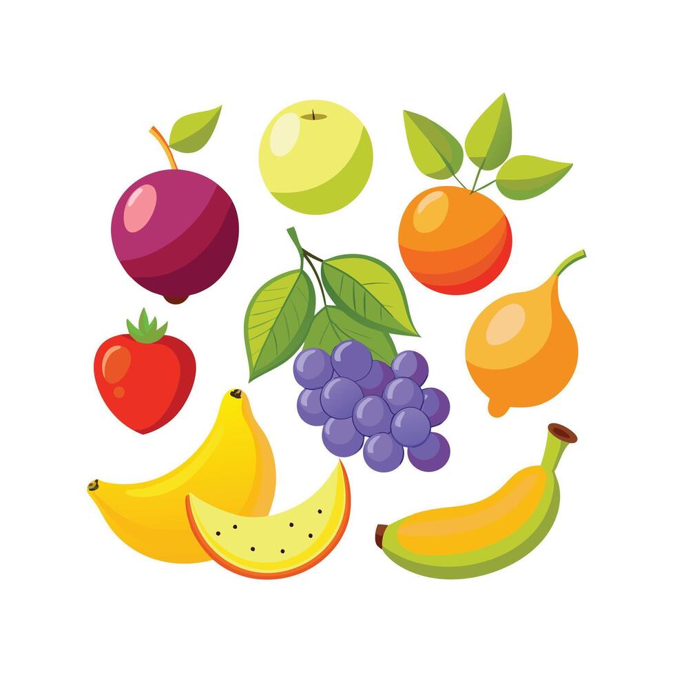 Realistic Fruits Illustration Concepts vector