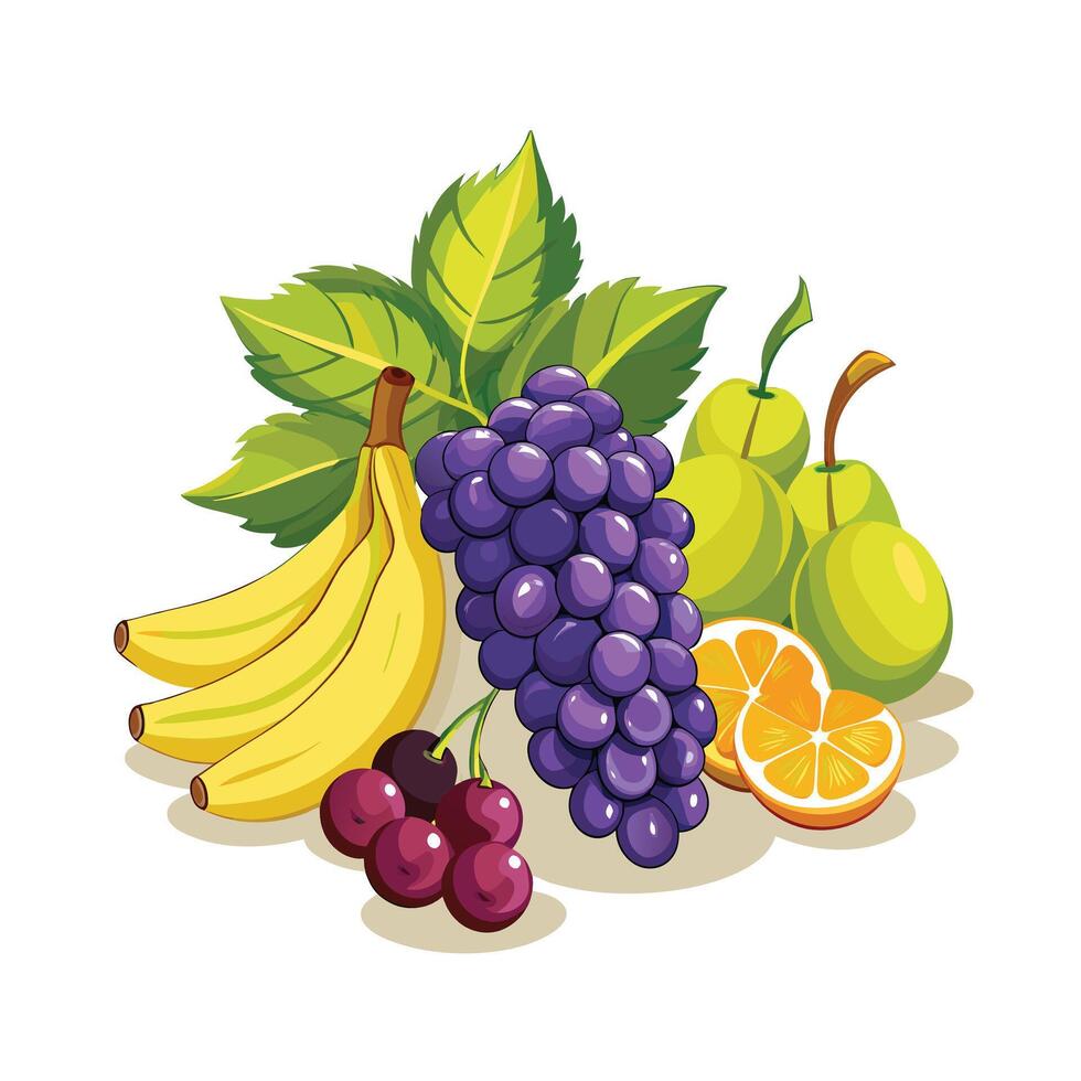 Realistic Fruits Illustration Concepts vector