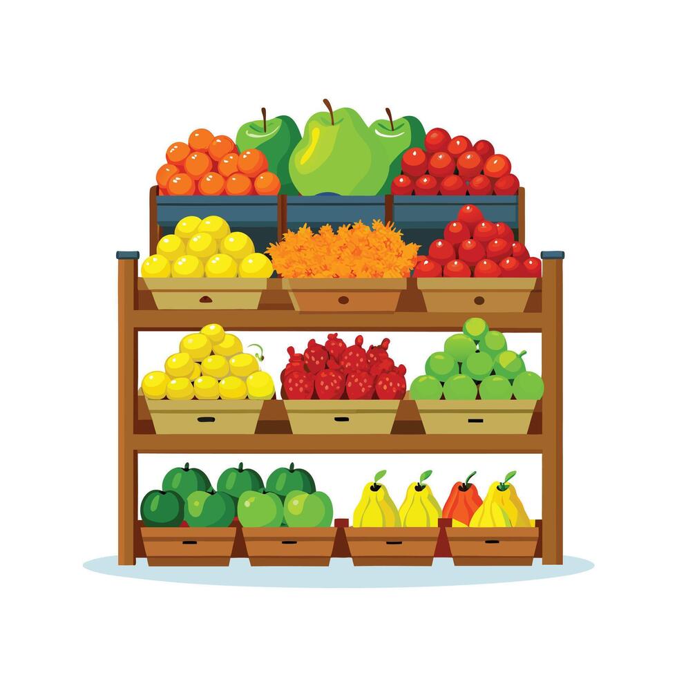 Realistic Fruits Illustration Concepts vector
