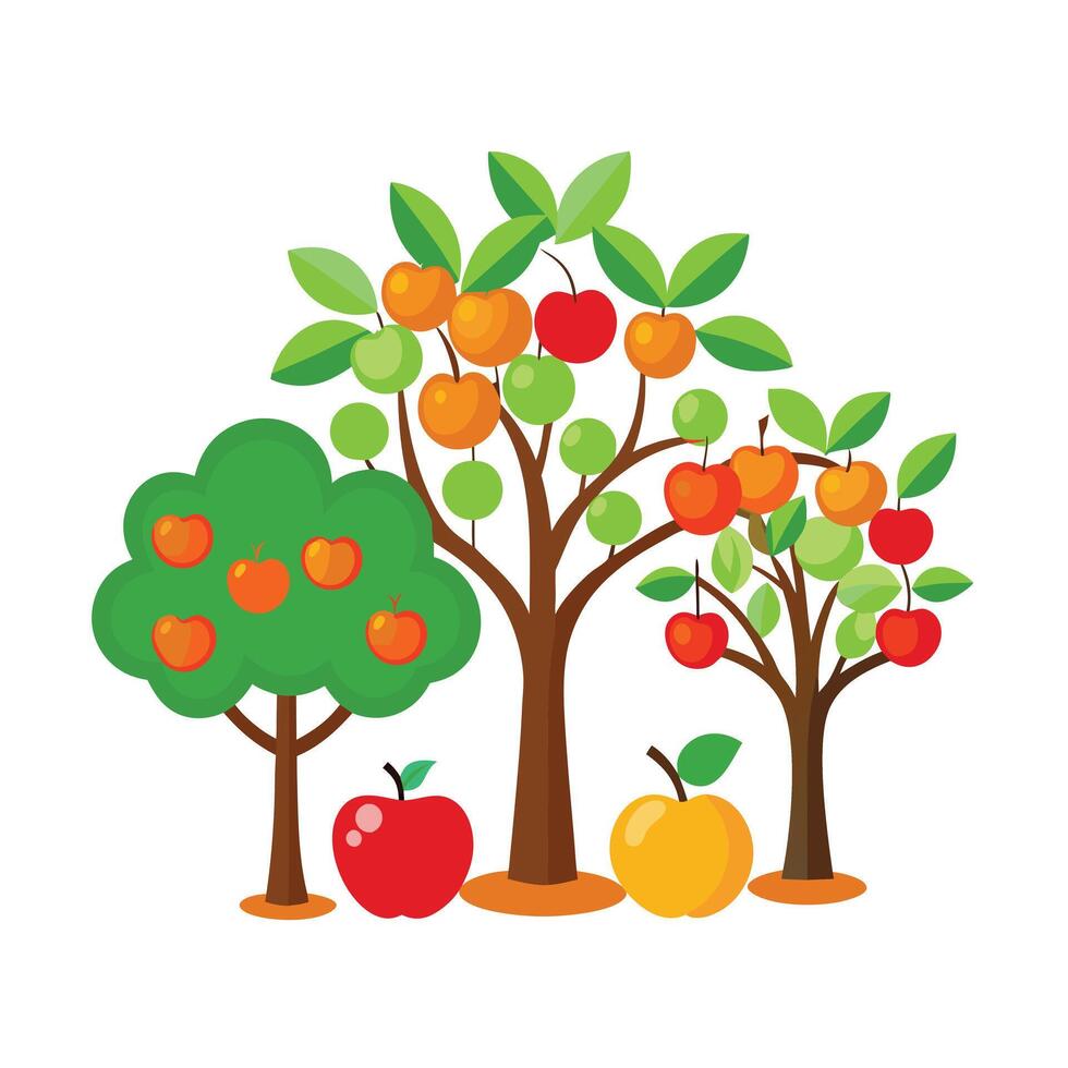 Realistic Fruits Illustration Concepts vector