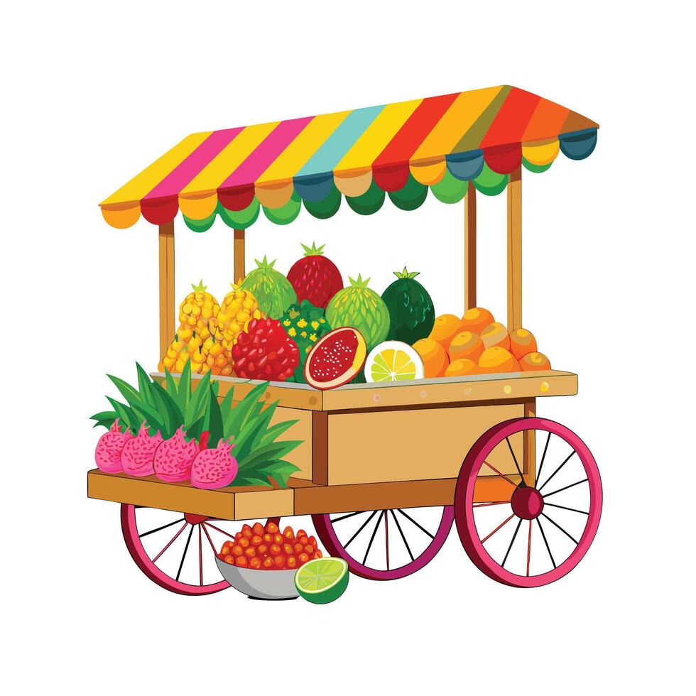 Realistic Fruits Illustration Concepts vector