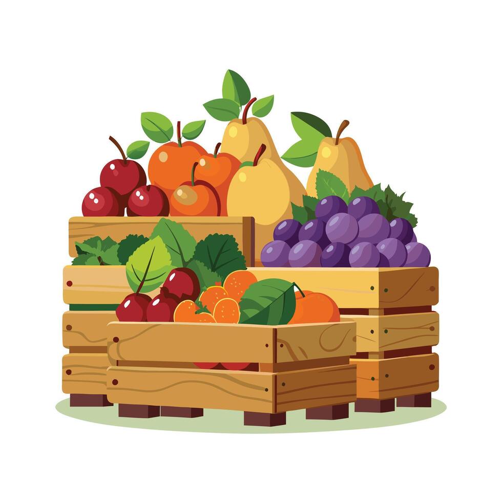 Realistic Fruits Illustration Concepts vector