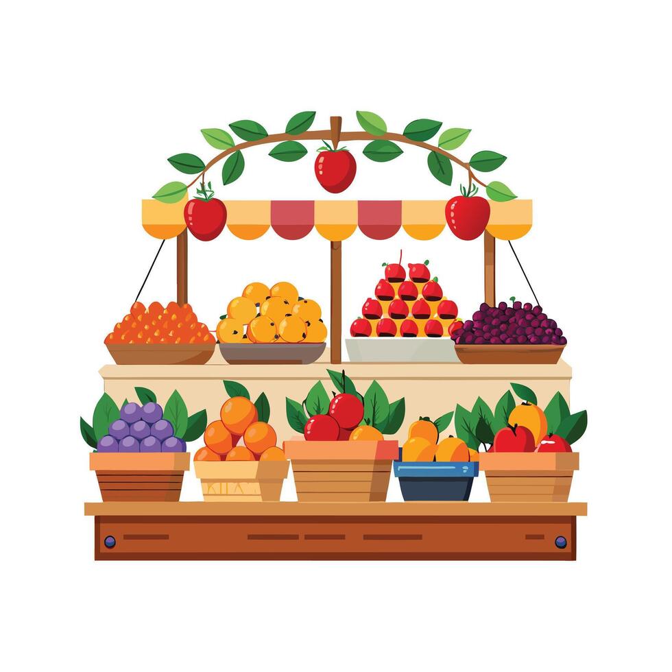 Realistic Fruits Illustration Concepts vector