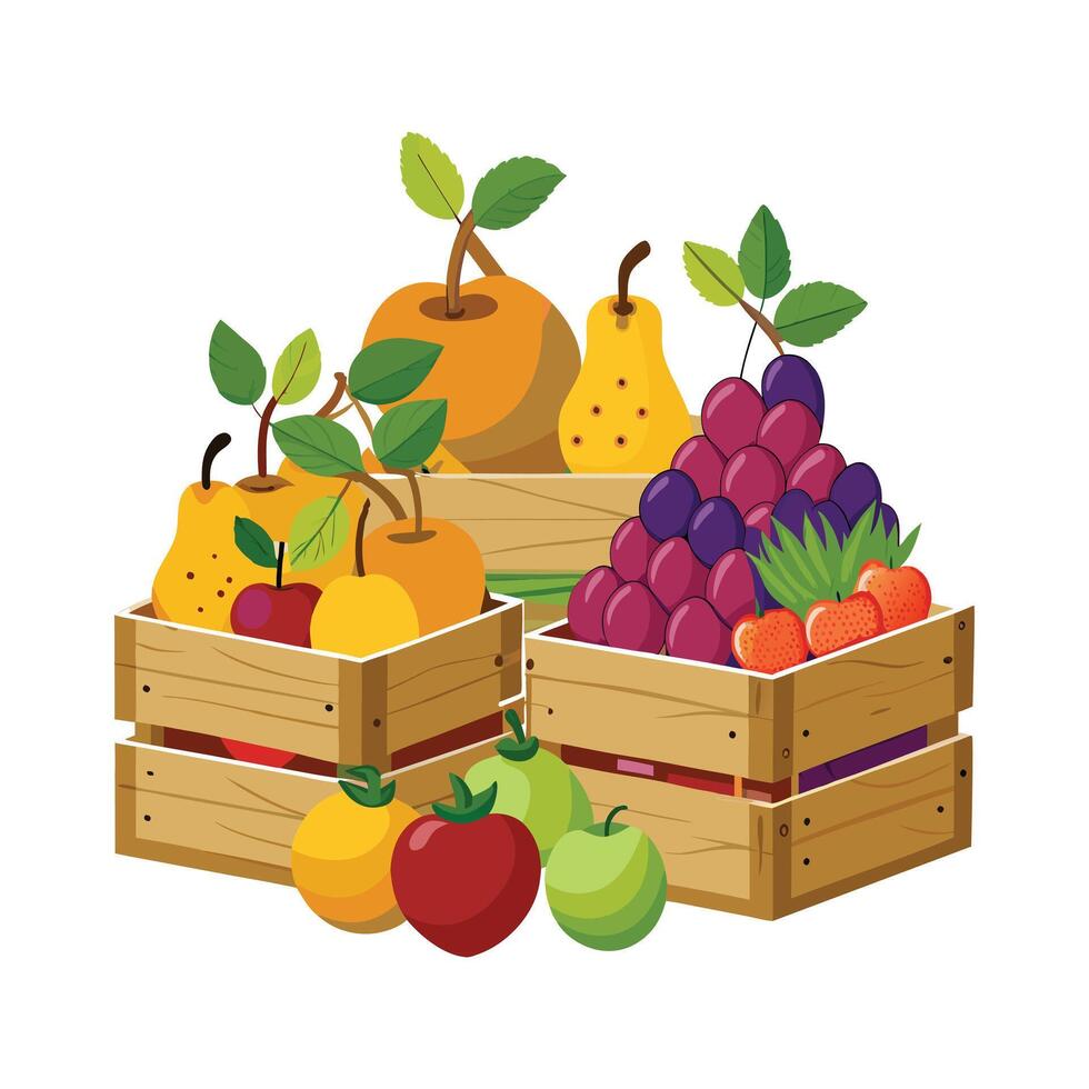 Realistic Fruits Illustration Concepts vector