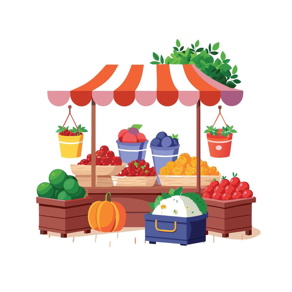 Realistic Fruits Illustration Concepts vector