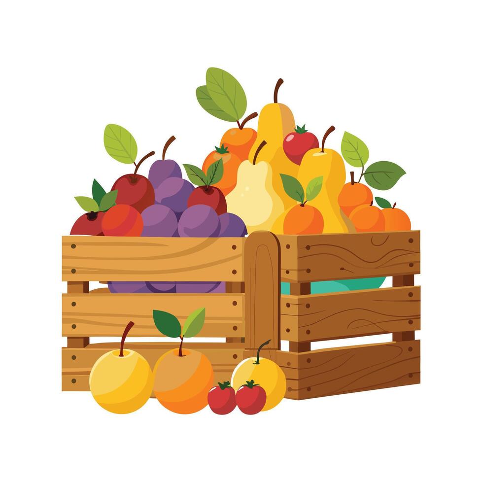 Realistic Fruits Illustration Concepts vector