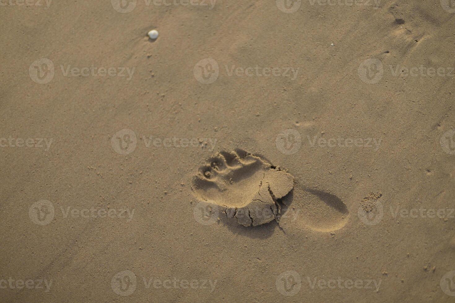 A lone footprint in the sand left behind on a summer beach walk photo