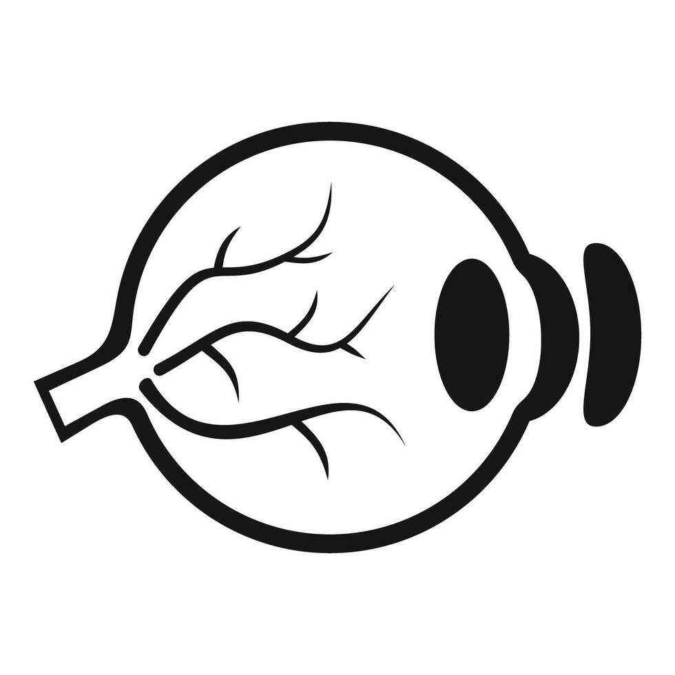 Human eyeball icon showing blood vessels optic nerve and pupil vector