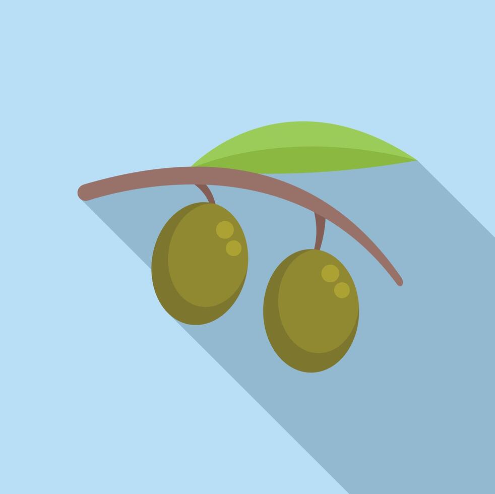 Olive branch holding two ripe olives with long shadow design vector