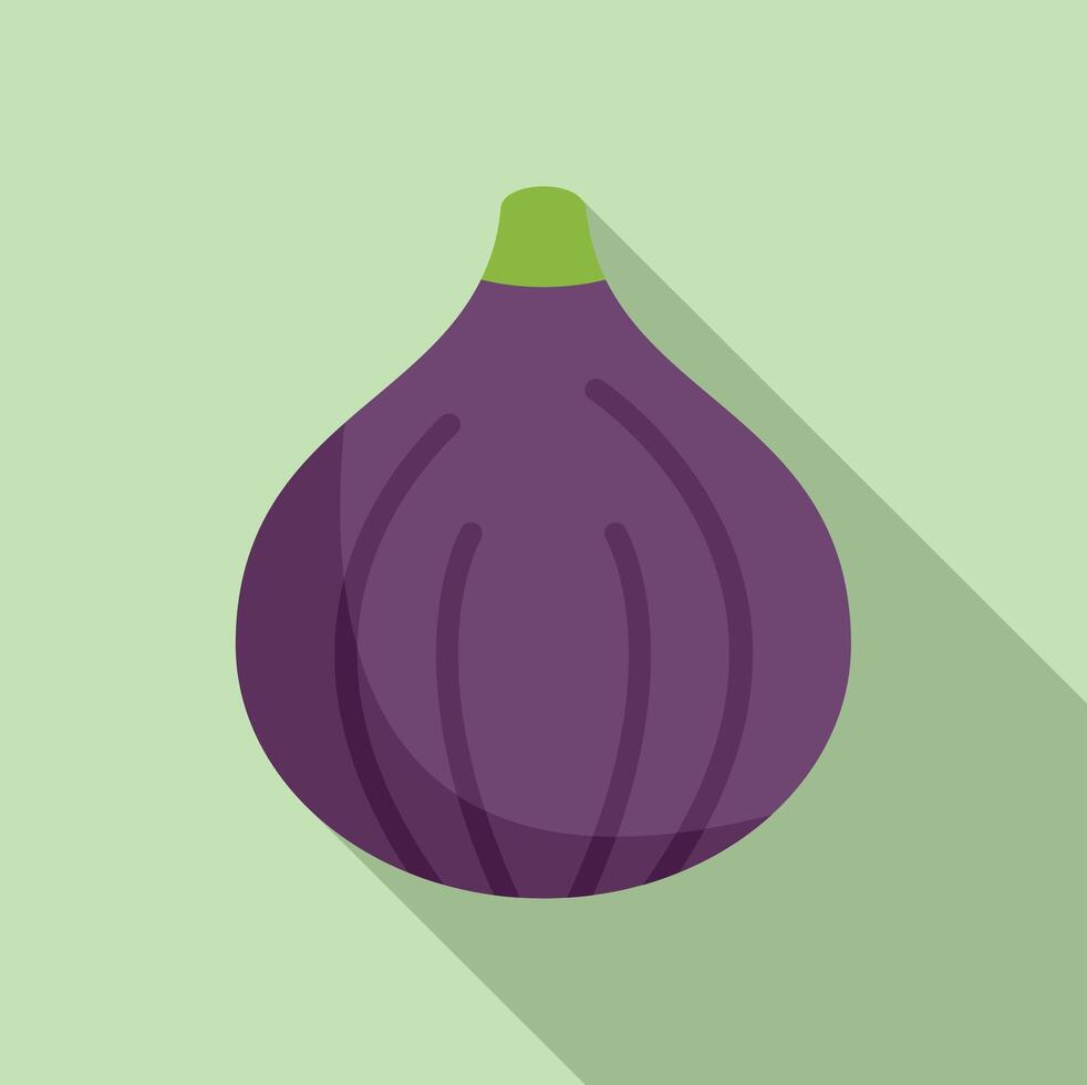 Fresh fig fruit showing long shadow on green background vector