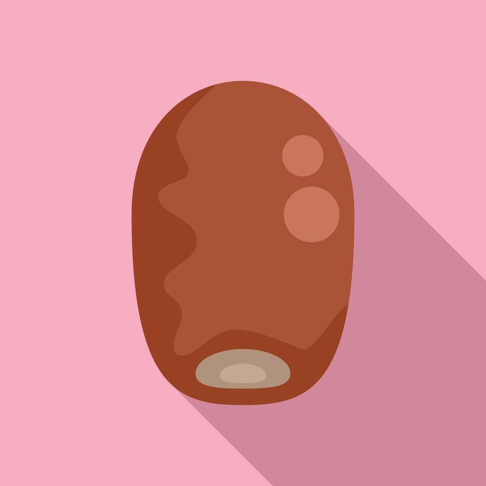 Dried date fruit showing its stone icon vector