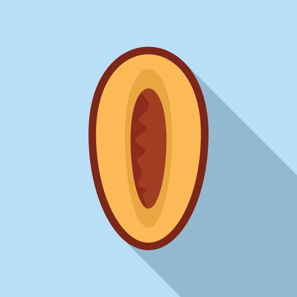 Half of apricot with a stone showing its texture vector